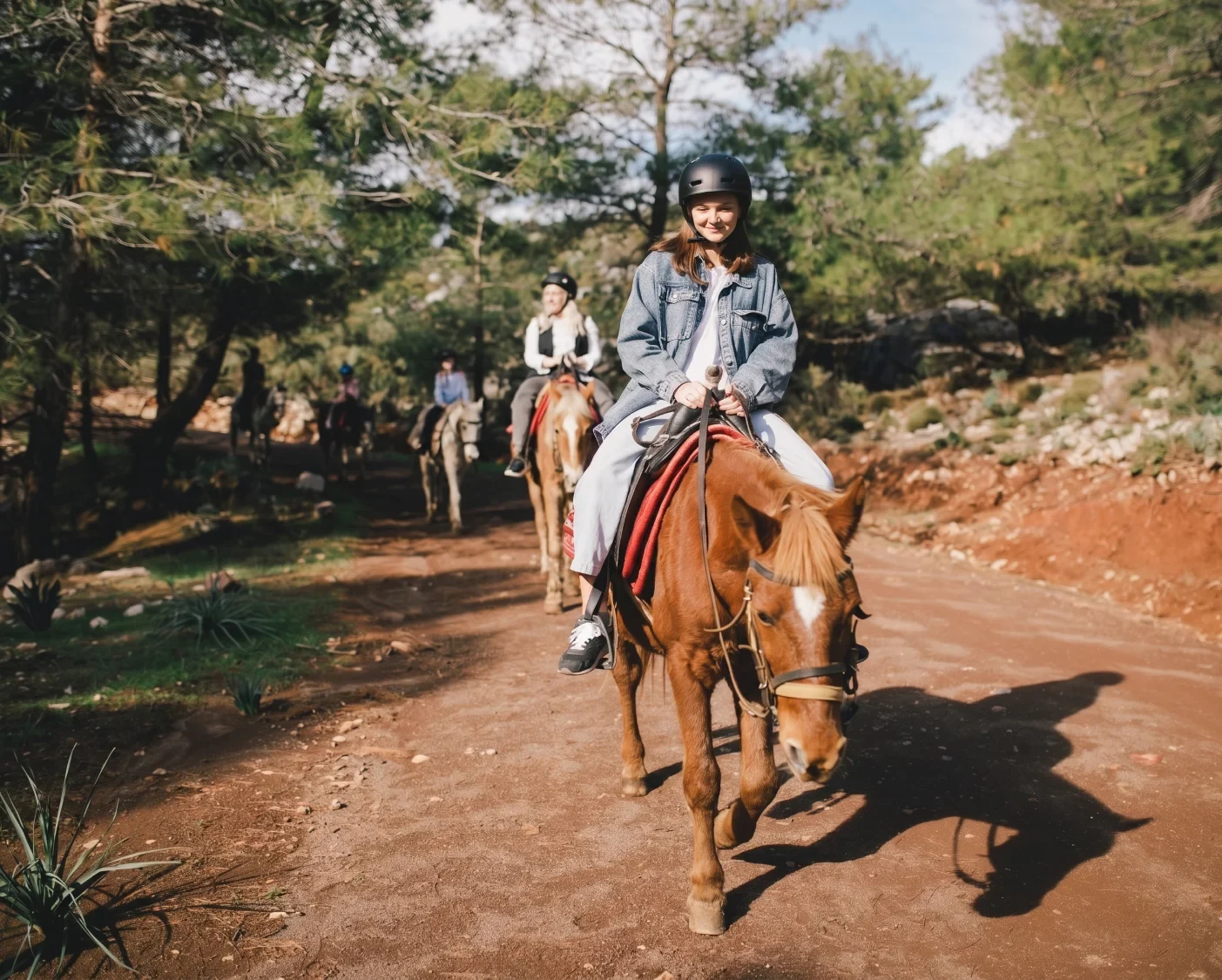 Horseback Riding new