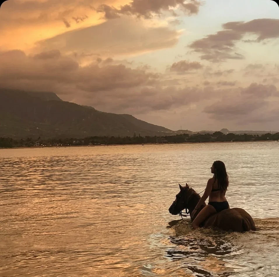Seaside Equestrian Tour: A Scenic Ride Along the Shore